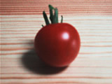 庭トマト１号